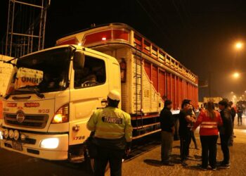 Delincuentes roban camión que trasladaba limones