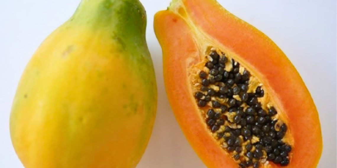 Papaya