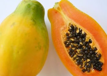 Papaya