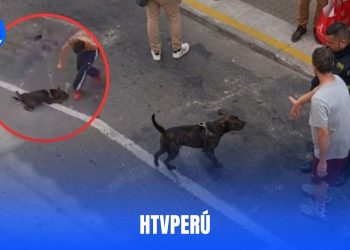 Matan a perrito por defender a su dueño