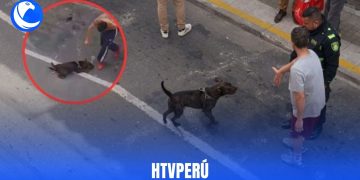 Matan a perrito por defender a su dueño