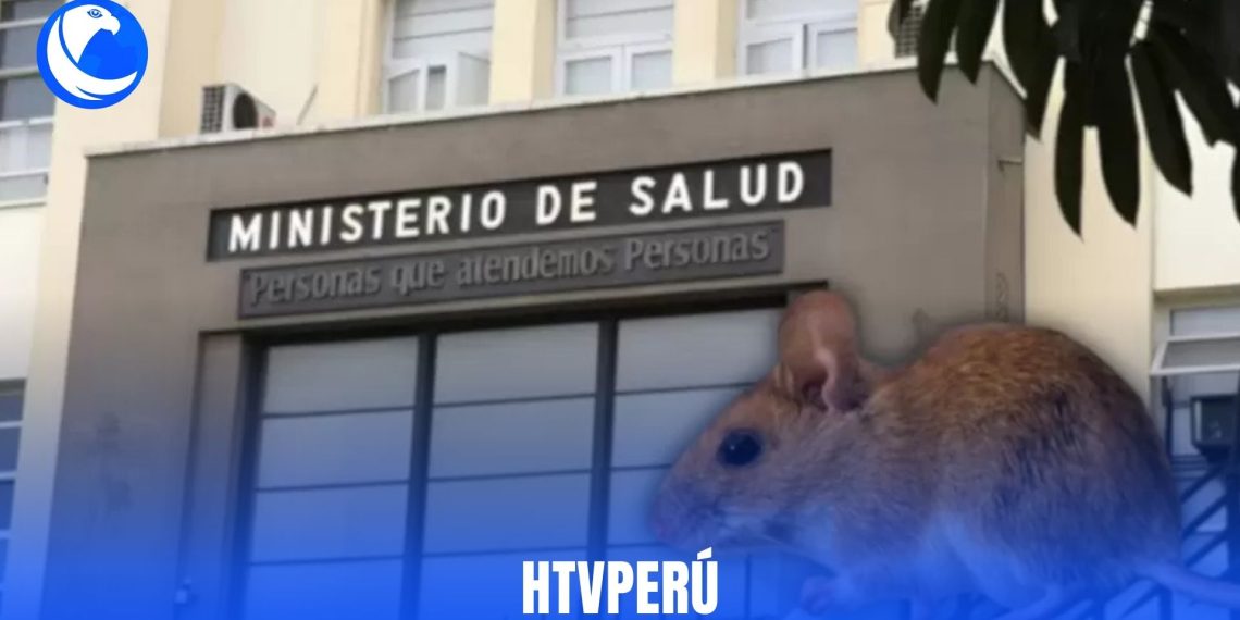 Minsa refuerza vigilancia epidemiológica por hantavirus en puertos y aeropuertos del Perú