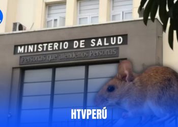 Minsa refuerza vigilancia epidemiológica por hantavirus en puertos y aeropuertos del Perú