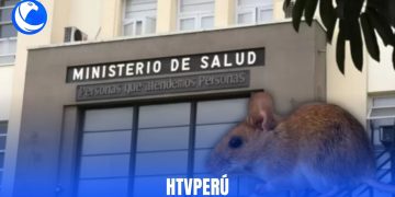 Minsa refuerza vigilancia epidemiológica por hantavirus en puertos y aeropuertos del Perú